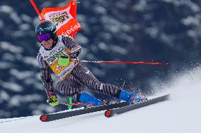 SPORT INVERNALI - Sci Alpino - AUDI FIS Ski World Cup - Giant Slalom - Uomini