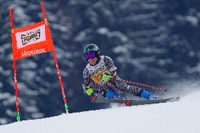 SPORT INVERNALI - Sci Alpino - AUDI FIS Ski World Cup - Giant Slalom - Uomini