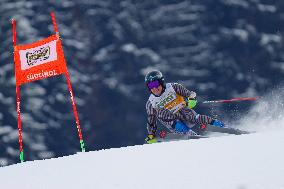 SPORT INVERNALI - Sci Alpino - AUDI FIS Ski World Cup - Giant Slalom - Uomini