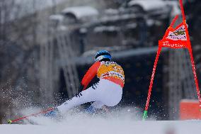 SPORT INVERNALI - Sci Alpino - AUDI FIS Ski World Cup - Giant Slalom - Uomini