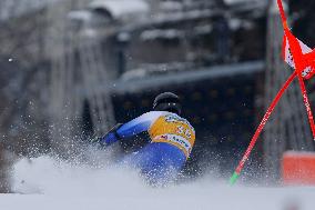 SPORT INVERNALI - Sci Alpino - AUDI FIS Ski World Cup - Giant Slalom - Uomini