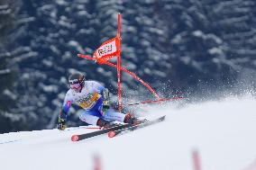 SPORT INVERNALI - Sci Alpino - AUDI FIS Ski World Cup - Giant Slalom - Uomini