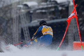 SPORT INVERNALI - Sci Alpino - AUDI FIS Ski World Cup - Giant Slalom - Uomini