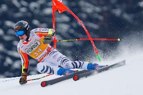 SPORT INVERNALI - Sci Alpino - AUDI FIS Ski World Cup - Giant Slalom - Uomini