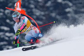 SPORT INVERNALI - Sci Alpino - AUDI FIS Ski World Cup - Giant Slalom - Uomini