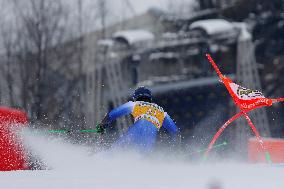 SPORT INVERNALI - Sci Alpino - AUDI FIS Ski World Cup - Giant Slalom - Uomini