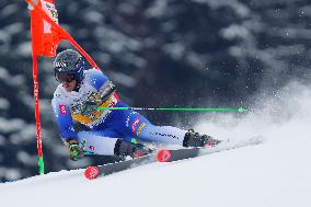 SPORT INVERNALI - Sci Alpino - AUDI FIS Ski World Cup - Giant Slalom - Uomini