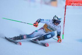 SPORT INVERNALI - Sci Alpino - AUDI FIS Ski World Cup - Giant Slalom - Uomini