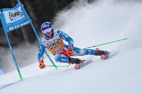 SPORT INVERNALI - Sci Alpino - AUDI FIS Ski World Cup - Giant Slalom - Uomini