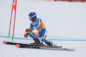 SPORT INVERNALI - Sci Alpino - AUDI FIS Ski World Cup - Giant Slalom - Uomini