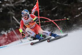 SPORT INVERNALI - Sci Alpino - AUDI FIS Ski World Cup - Giant Slalom - Uomini