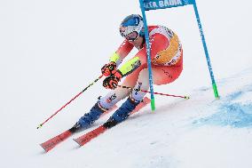 SPORT INVERNALI - Sci Alpino - AUDI FIS Ski World Cup - Giant Slalom - Uomini