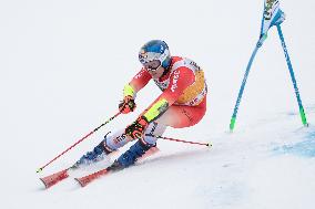 SPORT INVERNALI - Sci Alpino - AUDI FIS Ski World Cup - Giant Slalom - Uomini