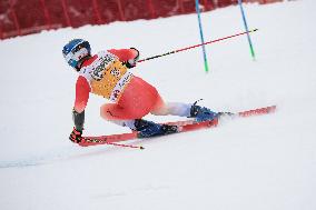 SPORT INVERNALI - Sci Alpino - AUDI FIS Ski World Cup - Giant Slalom - Uomini