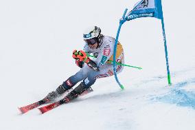 SPORT INVERNALI - Sci Alpino - AUDI FIS Ski World Cup - Giant Slalom - Uomini