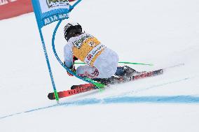 SPORT INVERNALI - Sci Alpino - AUDI FIS Ski World Cup - Giant Slalom - Uomini