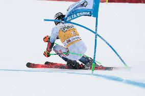 SPORT INVERNALI - Sci Alpino - AUDI FIS Ski World Cup - Giant Slalom - Uomini