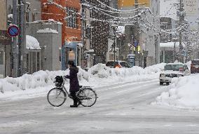 Snow in northeastern Japan