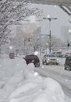 Snow in northeastern Japan