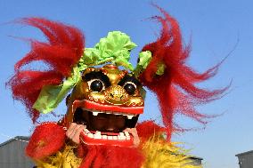 A Trainee Practices Lion Dance - China