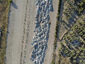 Aerial View Of Waste Piles At Cerignola Interport During The SIA Consortium Crisis, July 2018