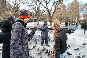 Bird Man Larry  -  Washington Square Park Pigeon Master