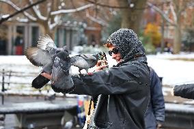 Bird Man Larry  -  Washington Square Park Pigeon Master