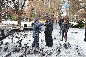 Bird Man Larry  -  Washington Square Park Pigeon Master