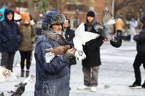 Bird Man Larry  -  Washington Square Park Pigeon Master