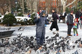 Bird Man Larry  -  Washington Square Park Pigeon Master