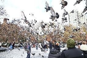 Bird Man Larry  -  Washington Square Park Pigeon Master