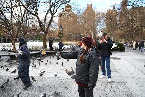 Bird Man Larry  -  Washington Square Park Pigeon Master