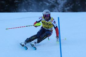 SPORT INVERNALI - Sci Alpino - AUDI FIS Ski World Cup - Slalom - Men