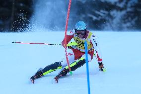 SPORT INVERNALI - Sci Alpino - AUDI FIS Ski World Cup - Slalom - Men