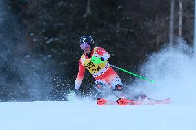 SPORT INVERNALI - Sci Alpino - AUDI FIS Ski World Cup - Slalom - Men