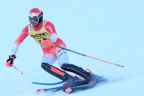 SPORT INVERNALI - Sci Alpino - AUDI FIS Ski World Cup - Slalom - Men