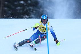 SPORT INVERNALI - Sci Alpino - AUDI FIS Ski World Cup - Slalom - Men