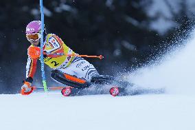 SPORT INVERNALI - Sci Alpino - AUDI FIS Ski World Cup - Slalom - Men