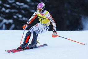 SPORT INVERNALI - Sci Alpino - AUDI FIS Ski World Cup - Slalom - Men