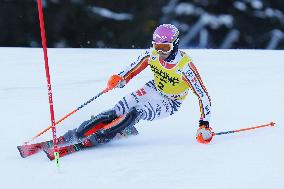 SPORT INVERNALI - Sci Alpino - AUDI FIS Ski World Cup - Slalom - Men