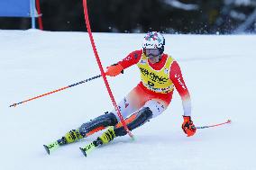 SPORT INVERNALI - Sci Alpino - AUDI FIS Ski World Cup - Slalom - Men