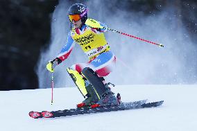 SPORT INVERNALI - Sci Alpino - AUDI FIS Ski World Cup - Slalom - Men