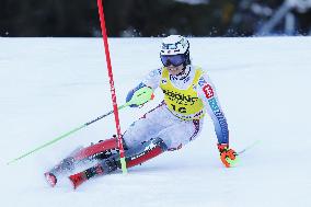 SPORT INVERNALI - Sci Alpino - AUDI FIS Ski World Cup - Slalom - Men