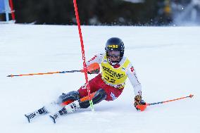 SPORT INVERNALI - Sci Alpino - AUDI FIS Ski World Cup - Slalom - Men