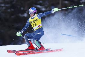 SPORT INVERNALI - Sci Alpino - AUDI FIS Ski World Cup - Slalom - Men