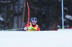 SPORT INVERNALI - Sci Alpino - AUDI FIS Ski World Cup - Slalom - Men