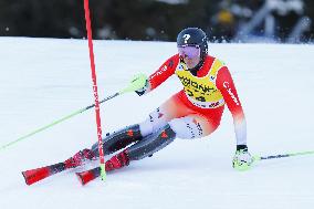 SPORT INVERNALI - Sci Alpino - AUDI FIS Ski World Cup - Slalom - Men