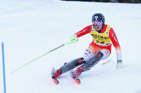 SPORT INVERNALI - Sci Alpino - AUDI FIS Ski World Cup - Slalom - Men