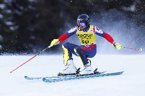 SPORT INVERNALI - Sci Alpino - AUDI FIS Ski World Cup - Slalom - Men