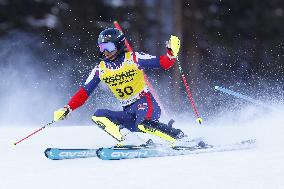 SPORT INVERNALI - Sci Alpino - AUDI FIS Ski World Cup - Slalom - Men